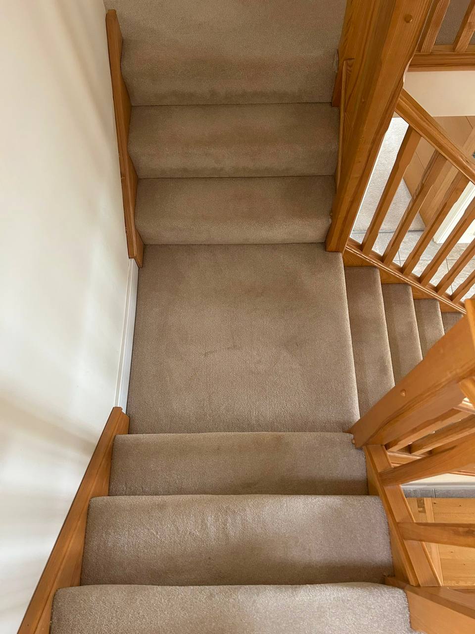 Sun-faded carpet before colour repair