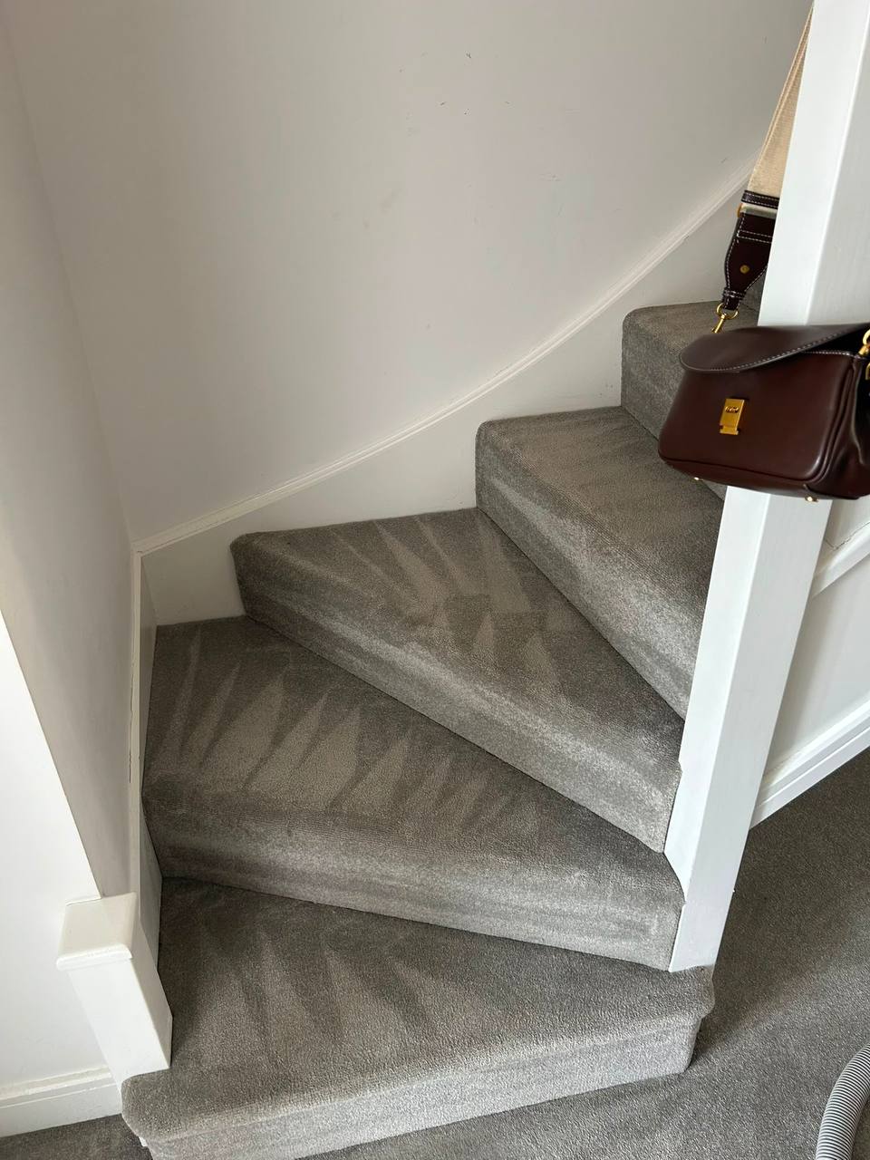 Freshly cleaned grey room carpet