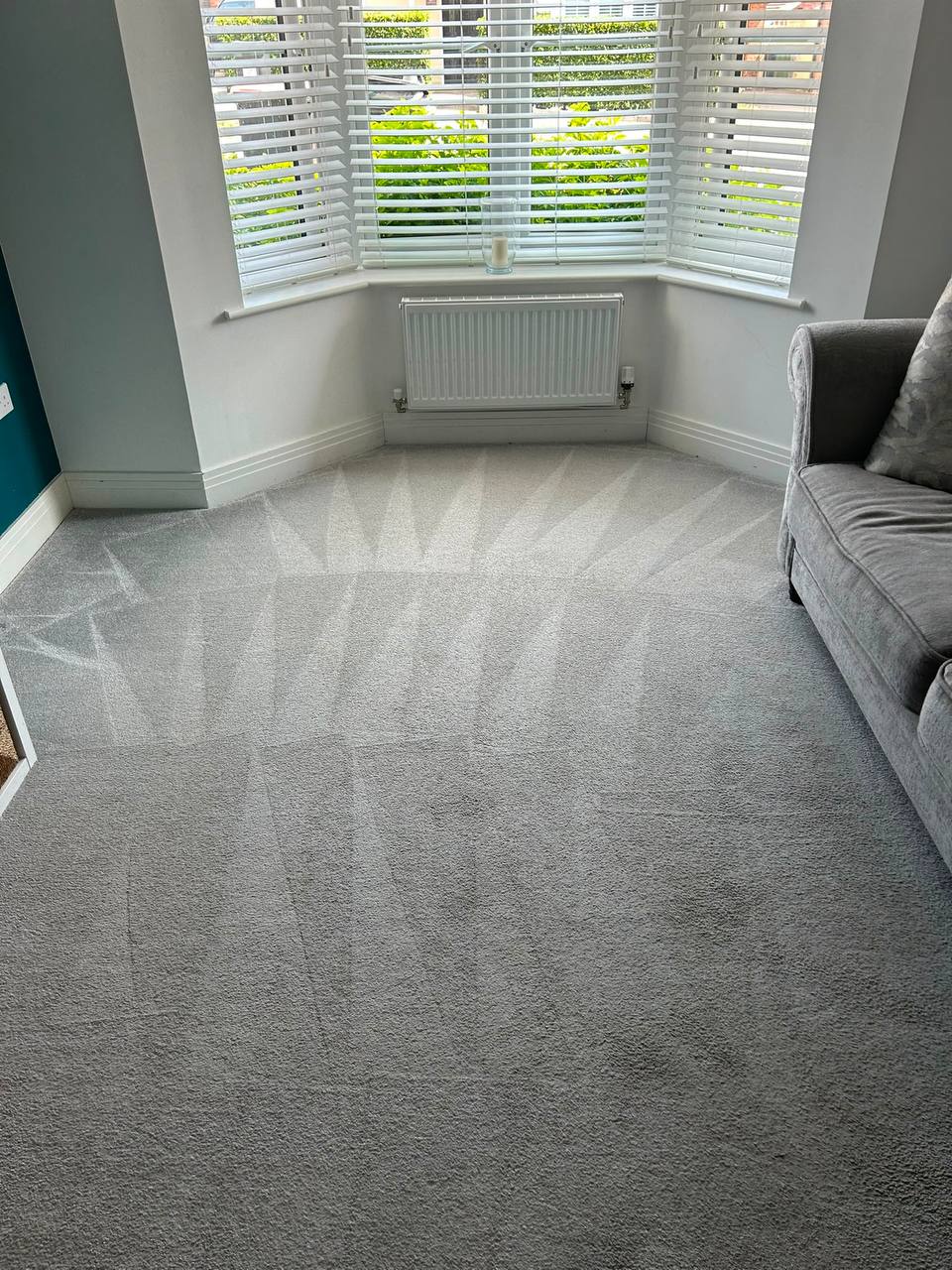Living room carpet after cleaning