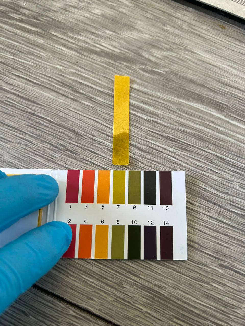 pH test strips used to select an appropriate carpet treatment