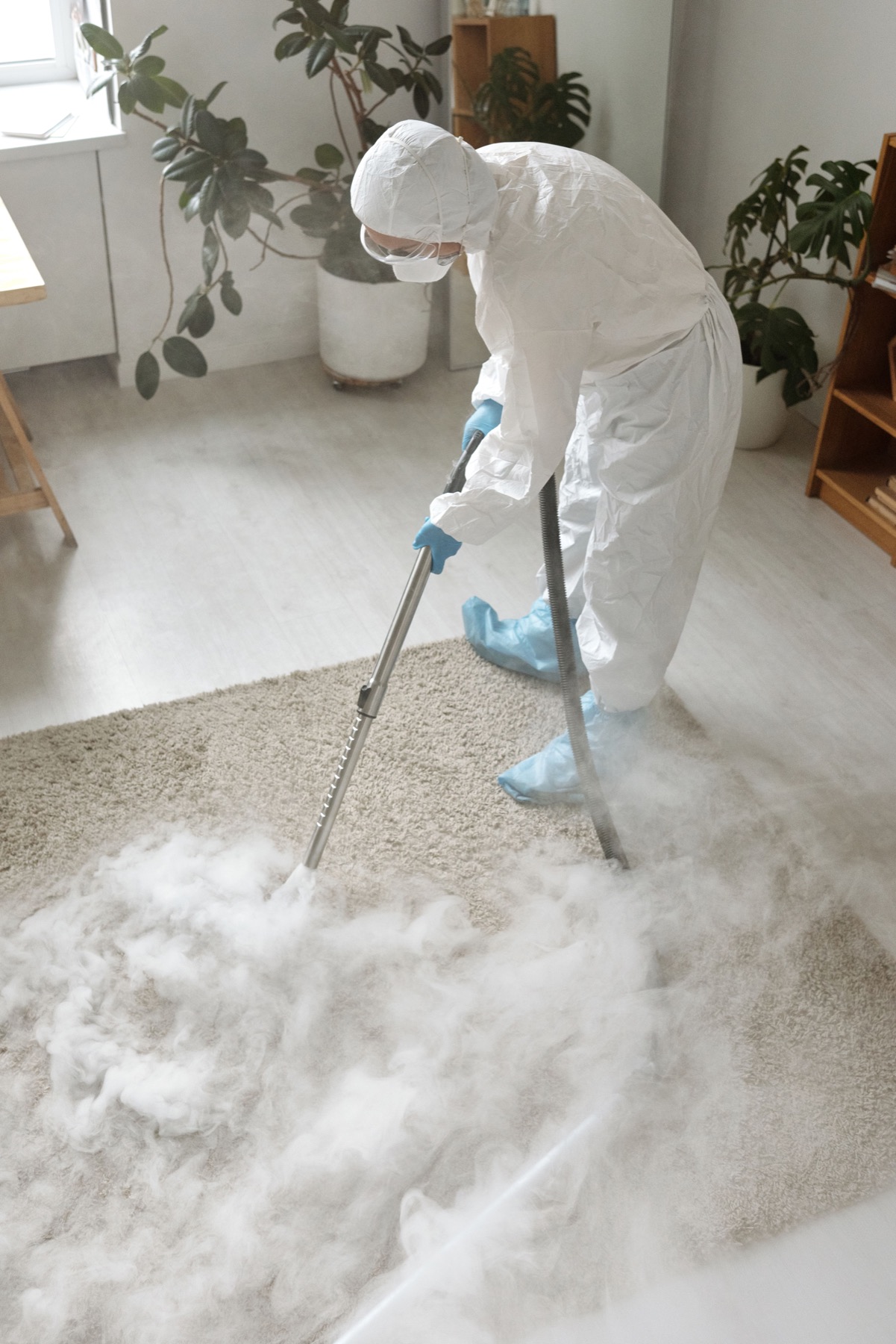 Professional extraction equipment used for specialist carpet treatment