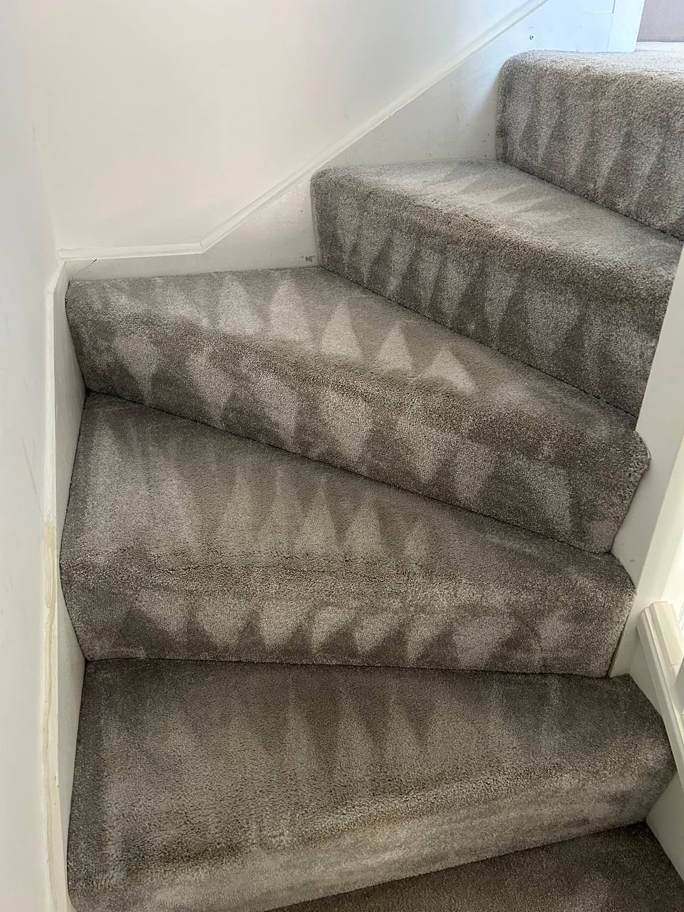 Carpeted stairs after cleaning