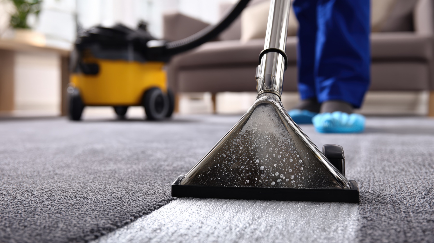 Professional hot-water extraction cleaning on a residential carpet