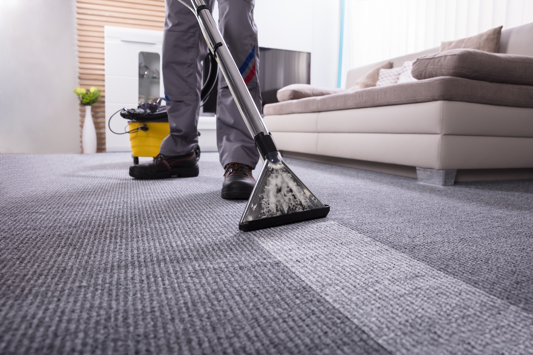 Professional cleaning in a furnished room
